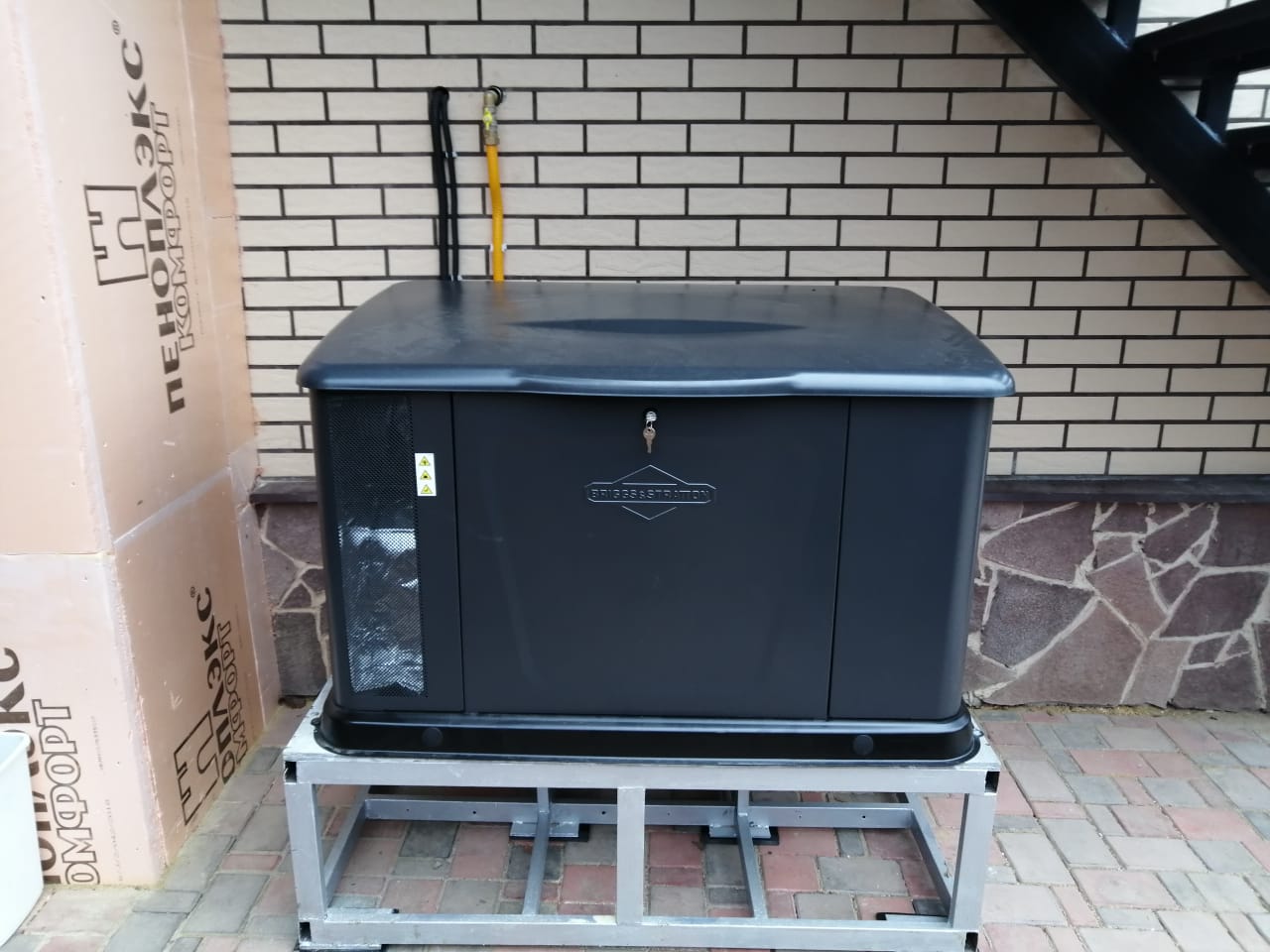 Briggs&Stratton G110 (220В)