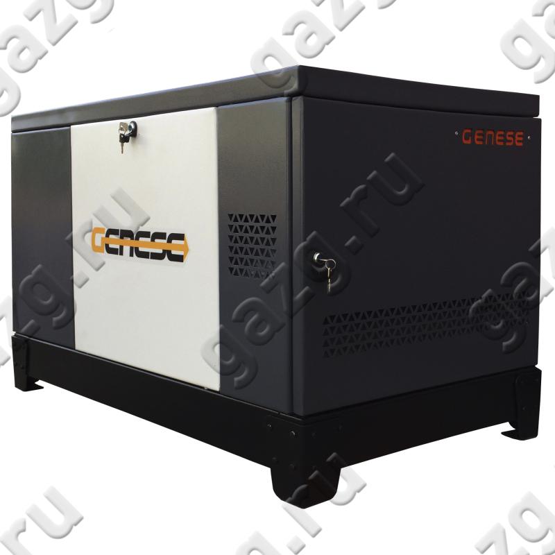 Genese Standard 12000 Neva в кожухе (220В)