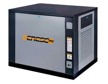 Genese Standard 5000 Neva в кожухе (220 В)