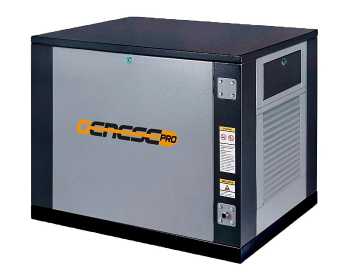 Genese Standard 6250 Neva в кожухе (220 В)